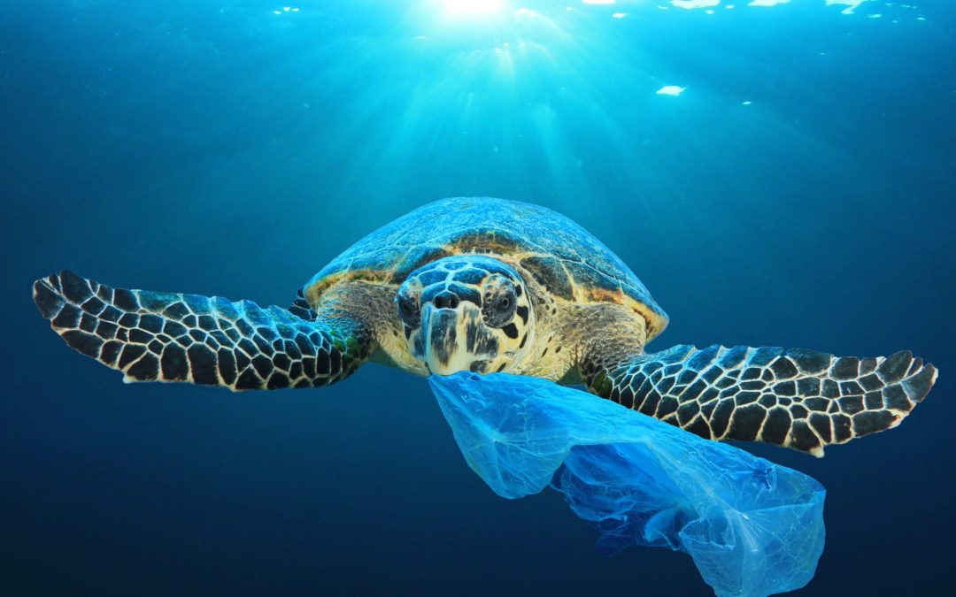 The Problem with Plastic