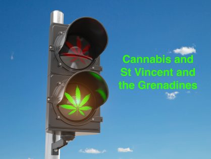 St. Vincent’s Medical Marijuana Industry Lifts Off with Amnesty